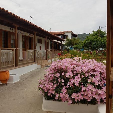 Asimina'S House Aparthotel Σκιάθος Πόλη Εξωτερικό φωτογραφία
