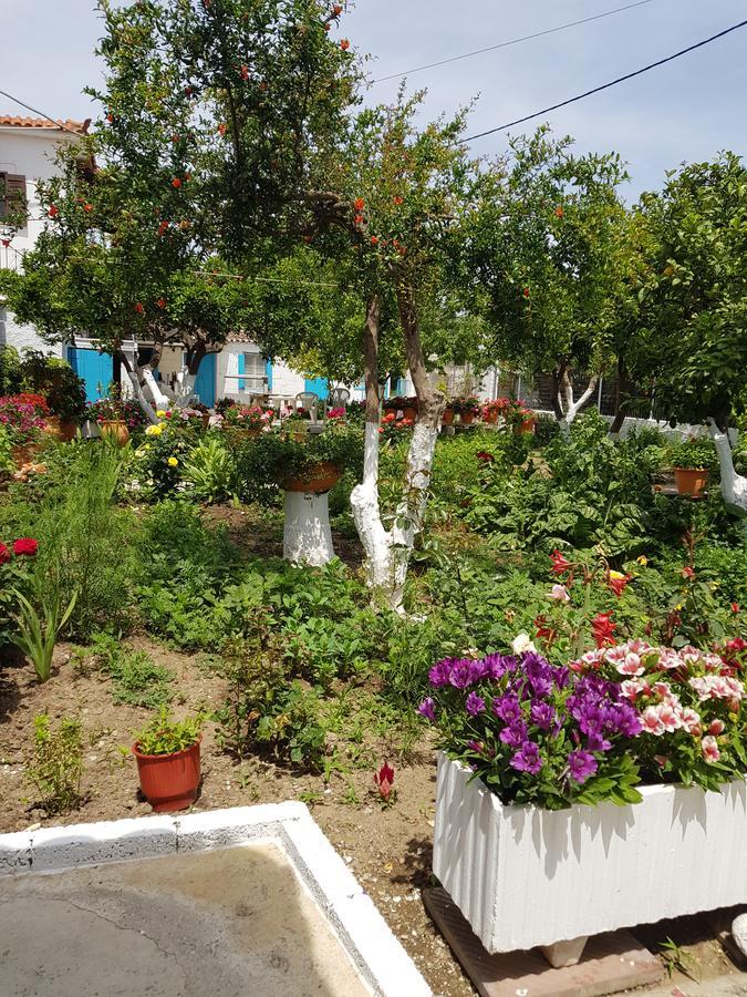 Asimina'S House Aparthotel Σκιάθος Πόλη Εξωτερικό φωτογραφία
