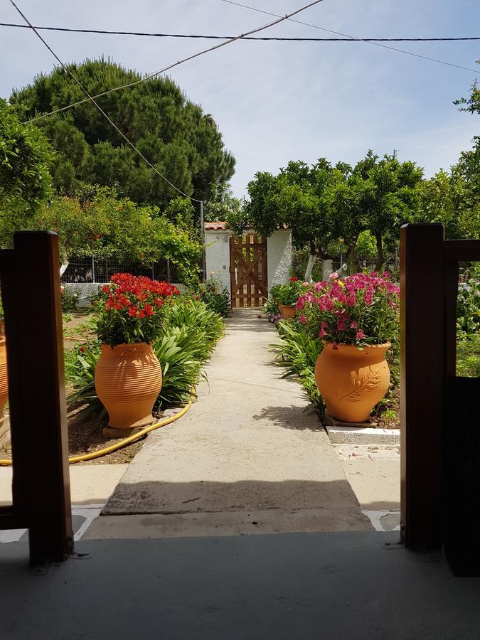 Asimina'S House Aparthotel Σκιάθος Πόλη Εξωτερικό φωτογραφία